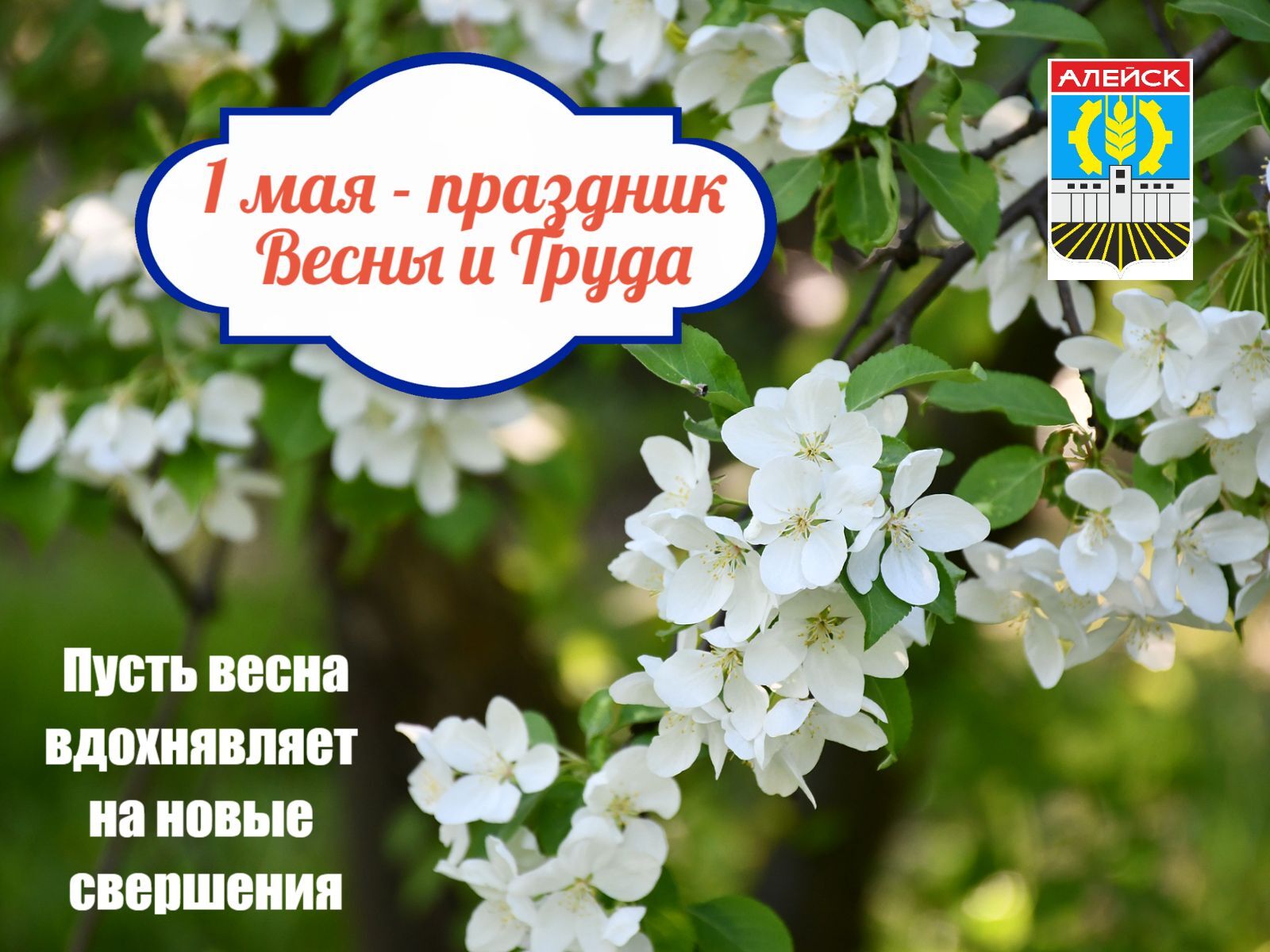 с праздником весны и труда!.