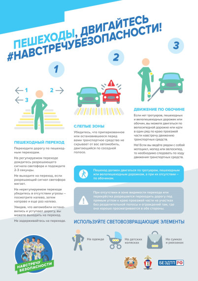 Навстречу безопасности (пешеходы). Навстречу безопасности (пешеходы).