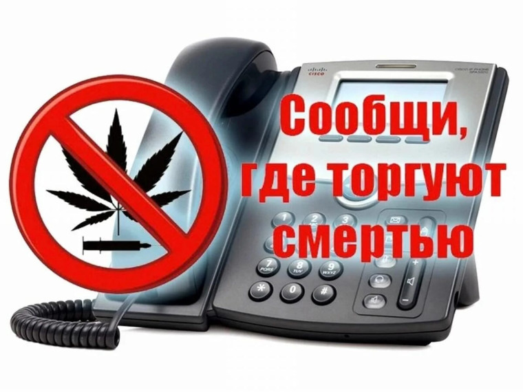 Акция «Сообщи, где торгуют смертью». Акция «Сообщи, где торгуют смертью».