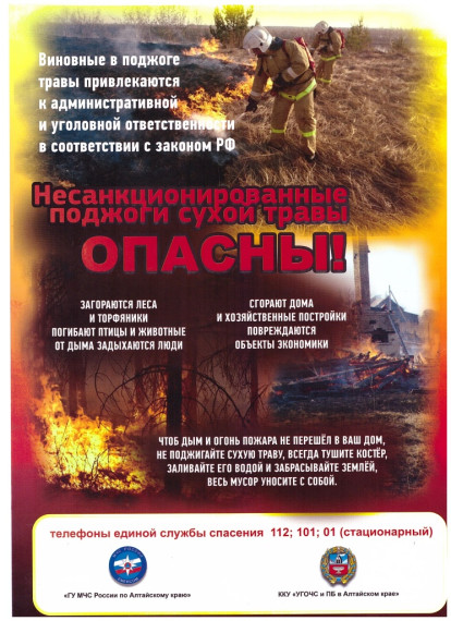 С наступлением теплой погоды происходит рост количества пожаров. С наступлением теплой погоды происходит рост количества пожаров.