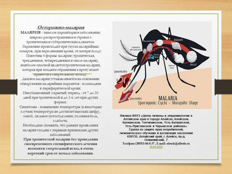 Осторожно-малярия. Осторожно-малярия.